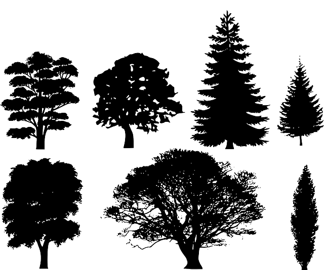 Free Trees Vector Art - Download 4,369+ Trees Icons &amp; Graphics ...