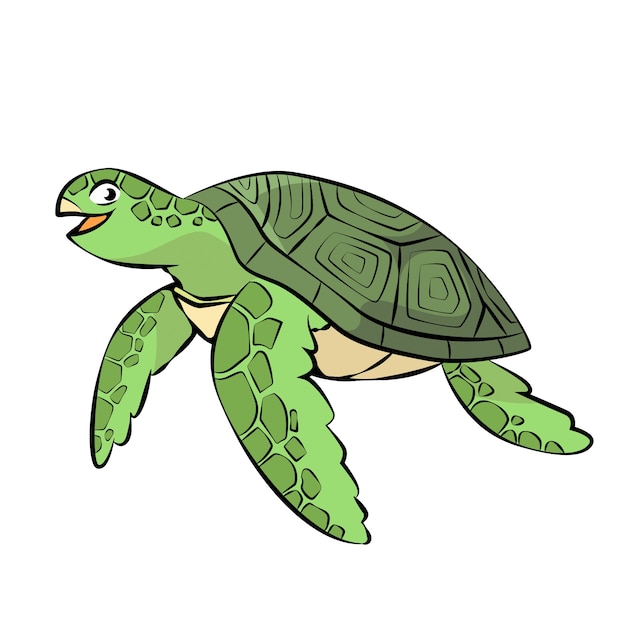 Turtle Clipart Images - Free Download on clipart library