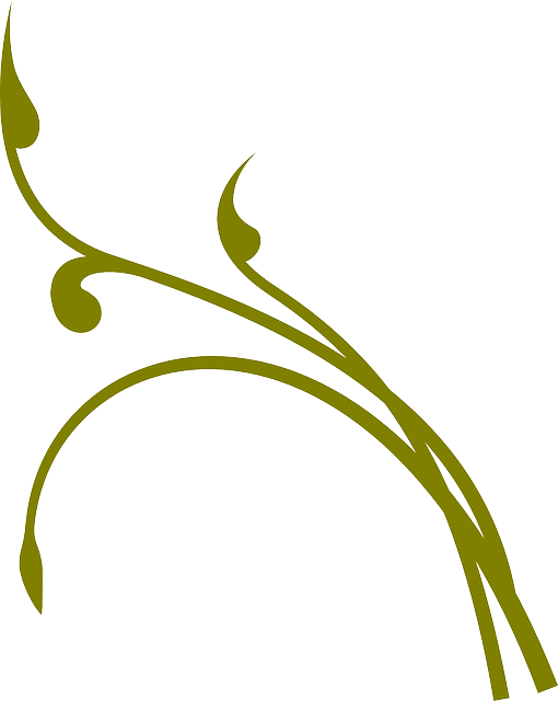 free vine clipart