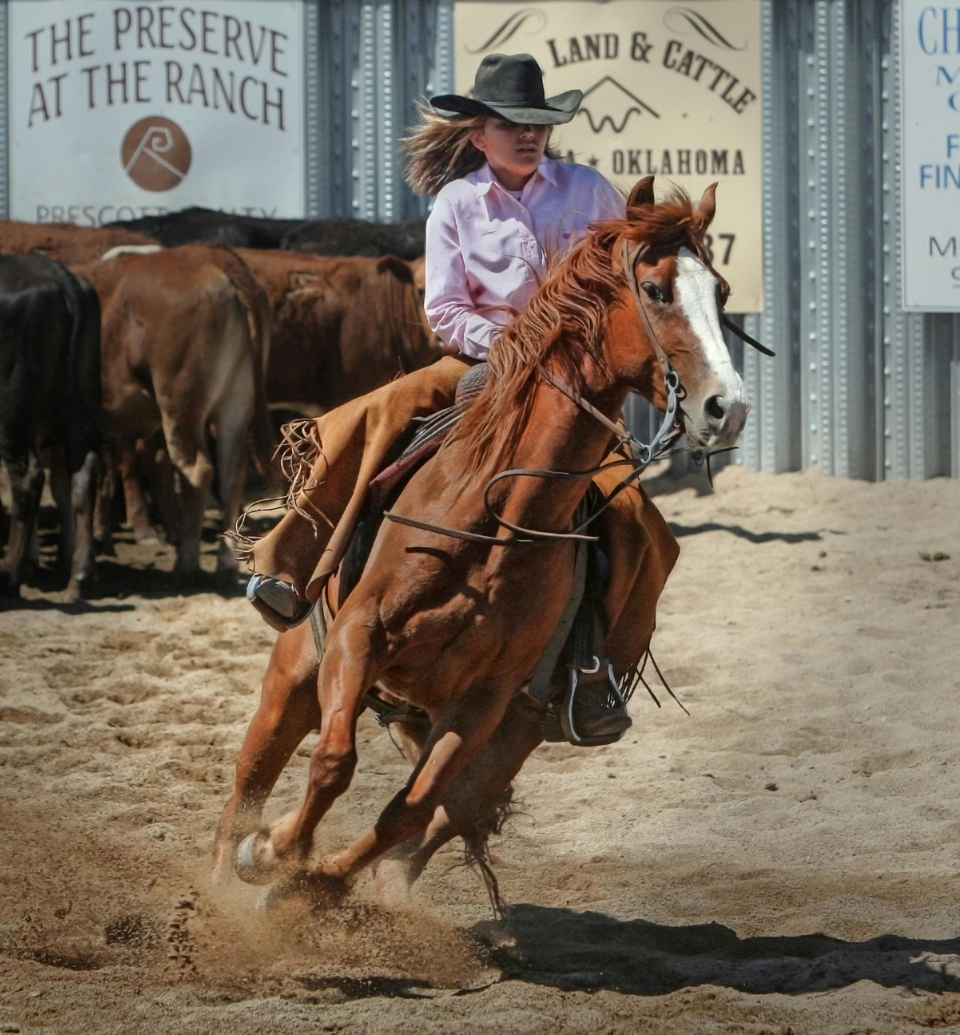 Western Photos, Download The BEST Free Western Stock Photos &amp; HD ...