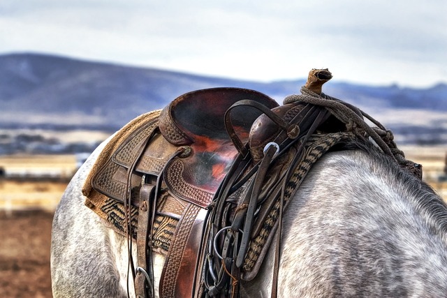 free western images