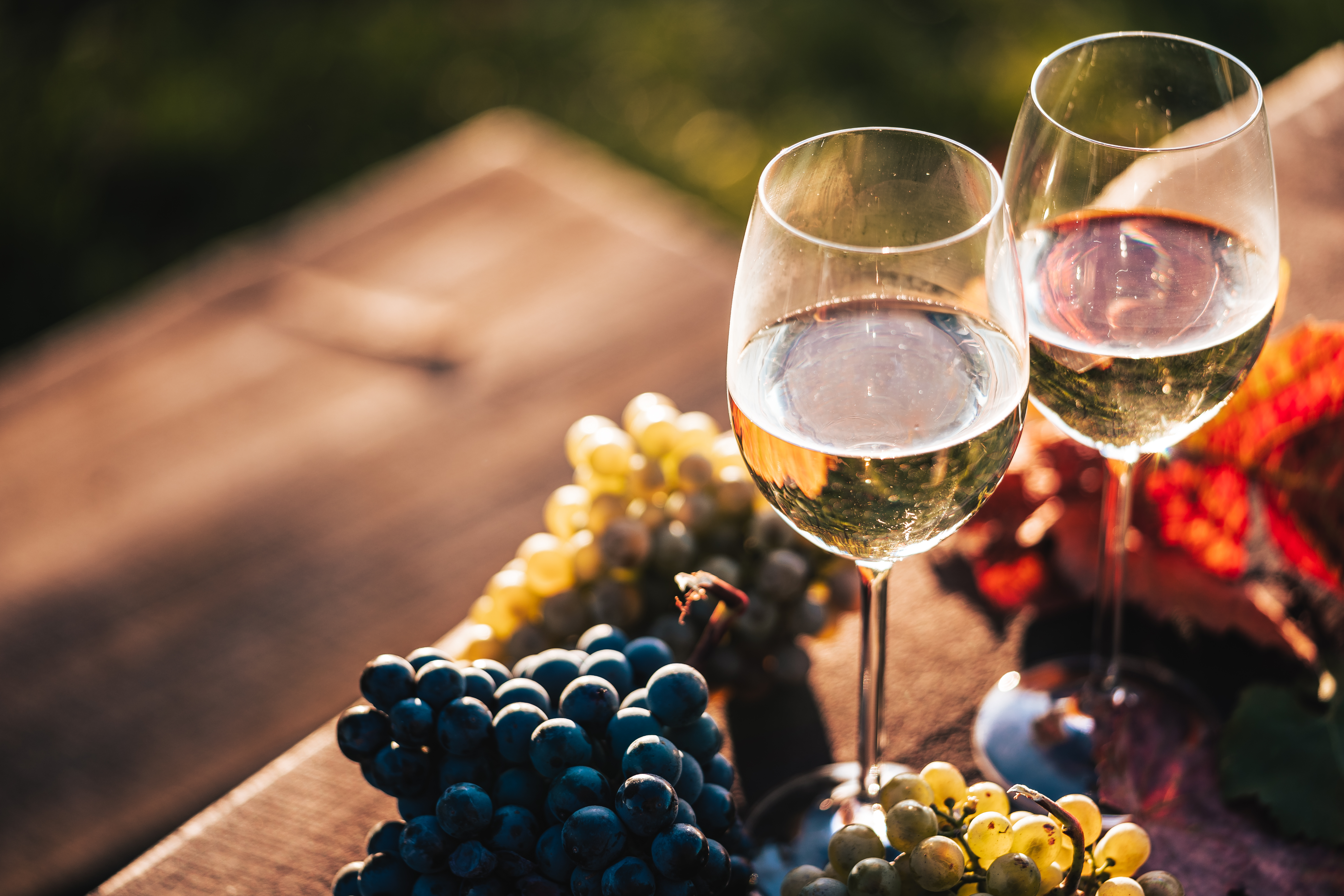 free wine pictures
