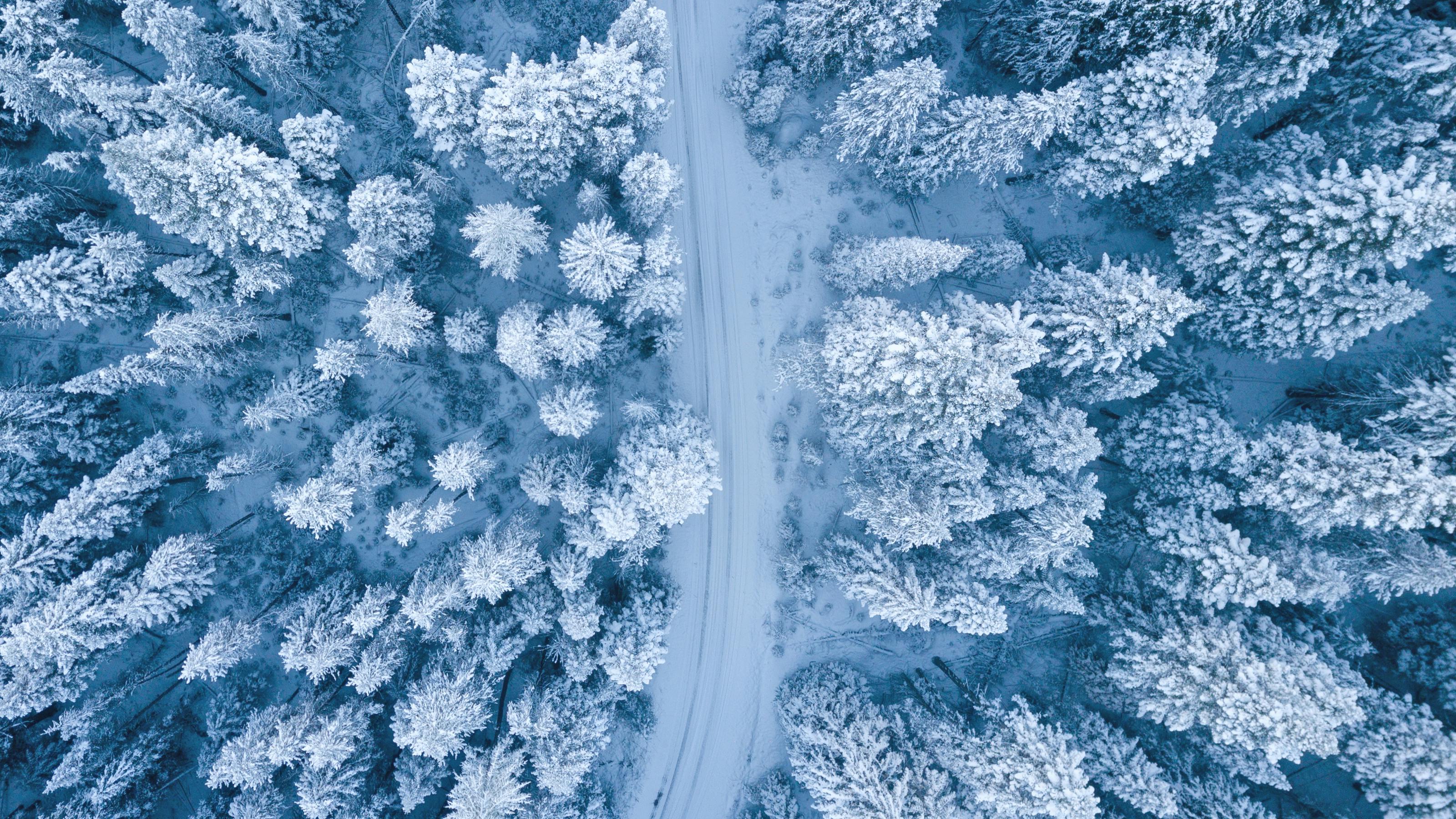 free winter pictures