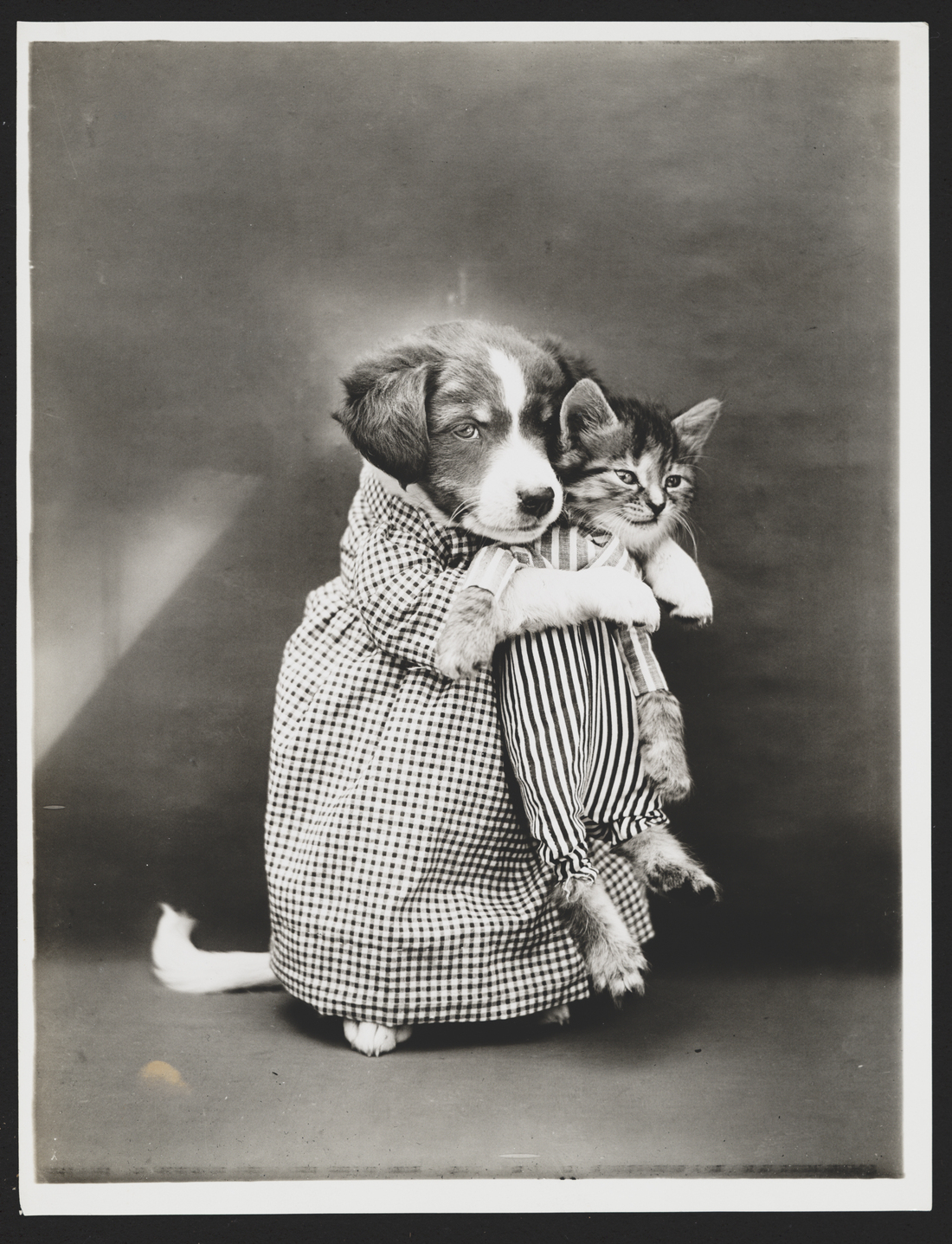 The Sad, Happy Life Of Harry Whittier Frees : NPR History Dept. : NPR