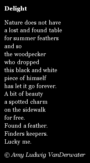 The Poem Farm: Finding and Keeping Delight - Free Verse in Nature