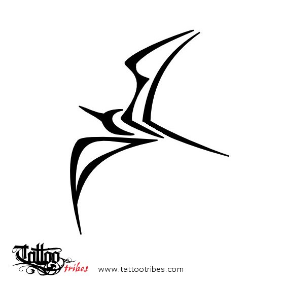 frigate bird tattoo
