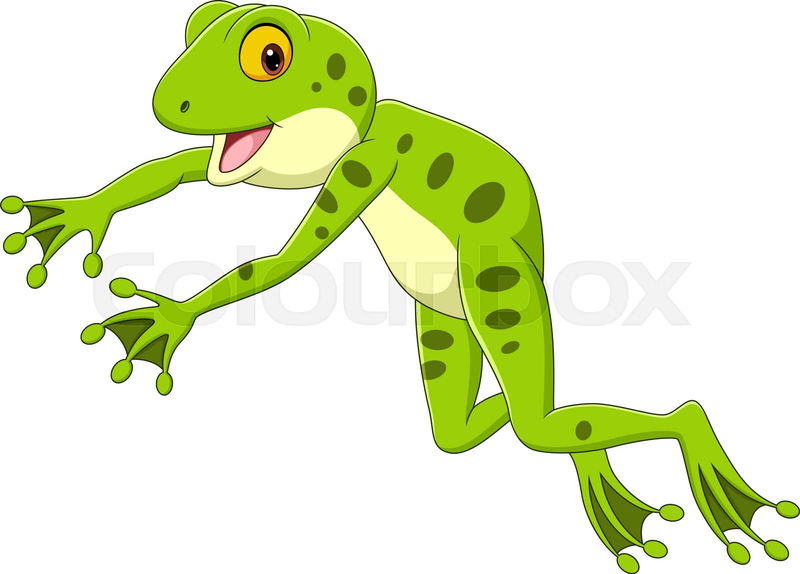 Vector illustration of Cartoon funny frog leaping on white b ...