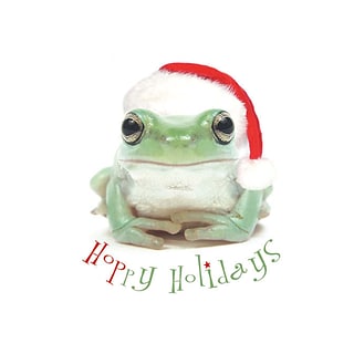 Hoppy Holidays Frog With Santa Hat Holiday Greeting Cards, With A7 ...