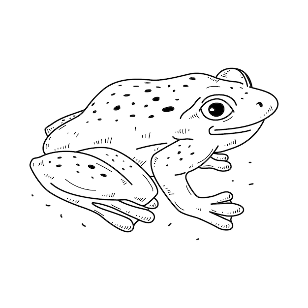 frog outline