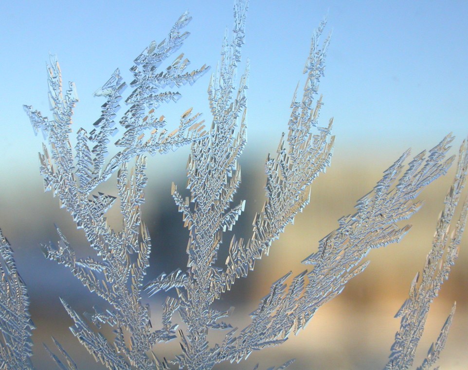 frosts
