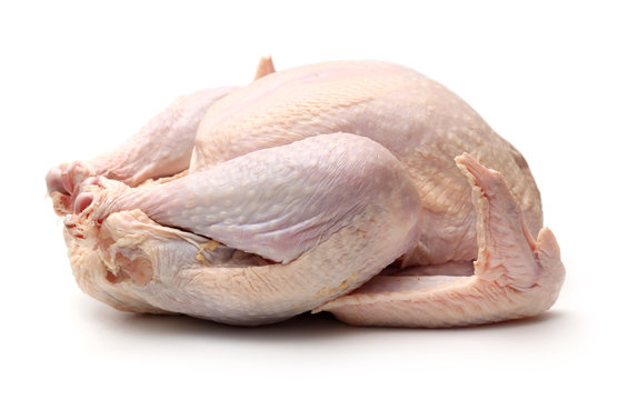 frozen turkey cliparts