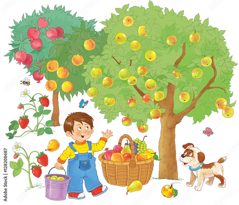 fruit garden cliparts