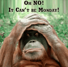 Funny Monday GIFs | Tenor