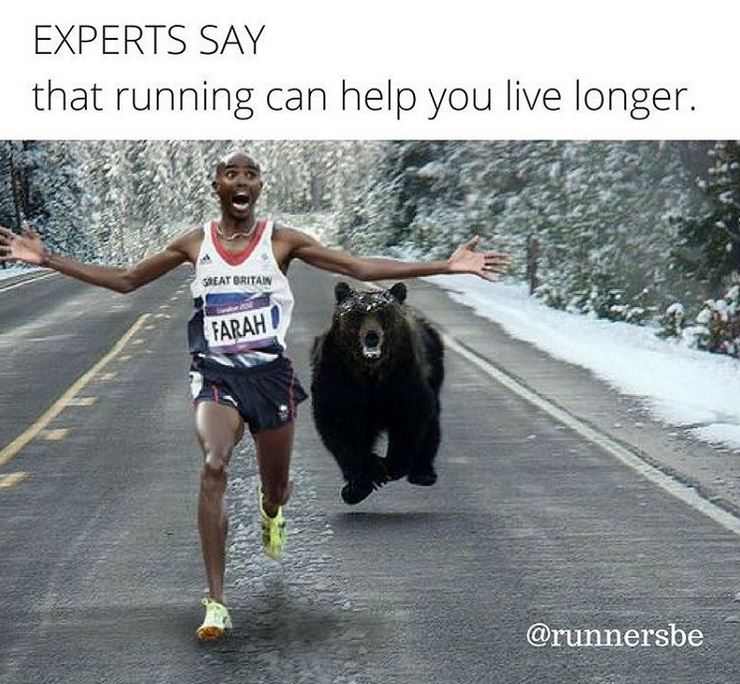 funny pictures of runners