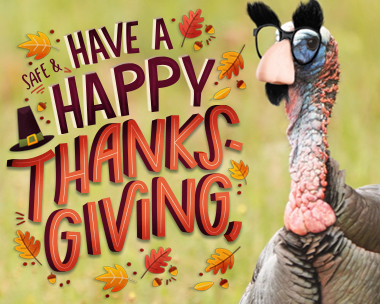 Funny Happy Thanksgiving Cards | American Greetings