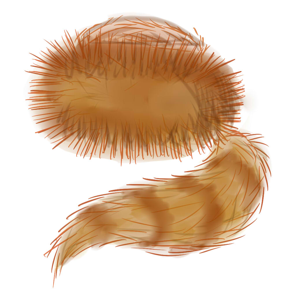 fur clipart