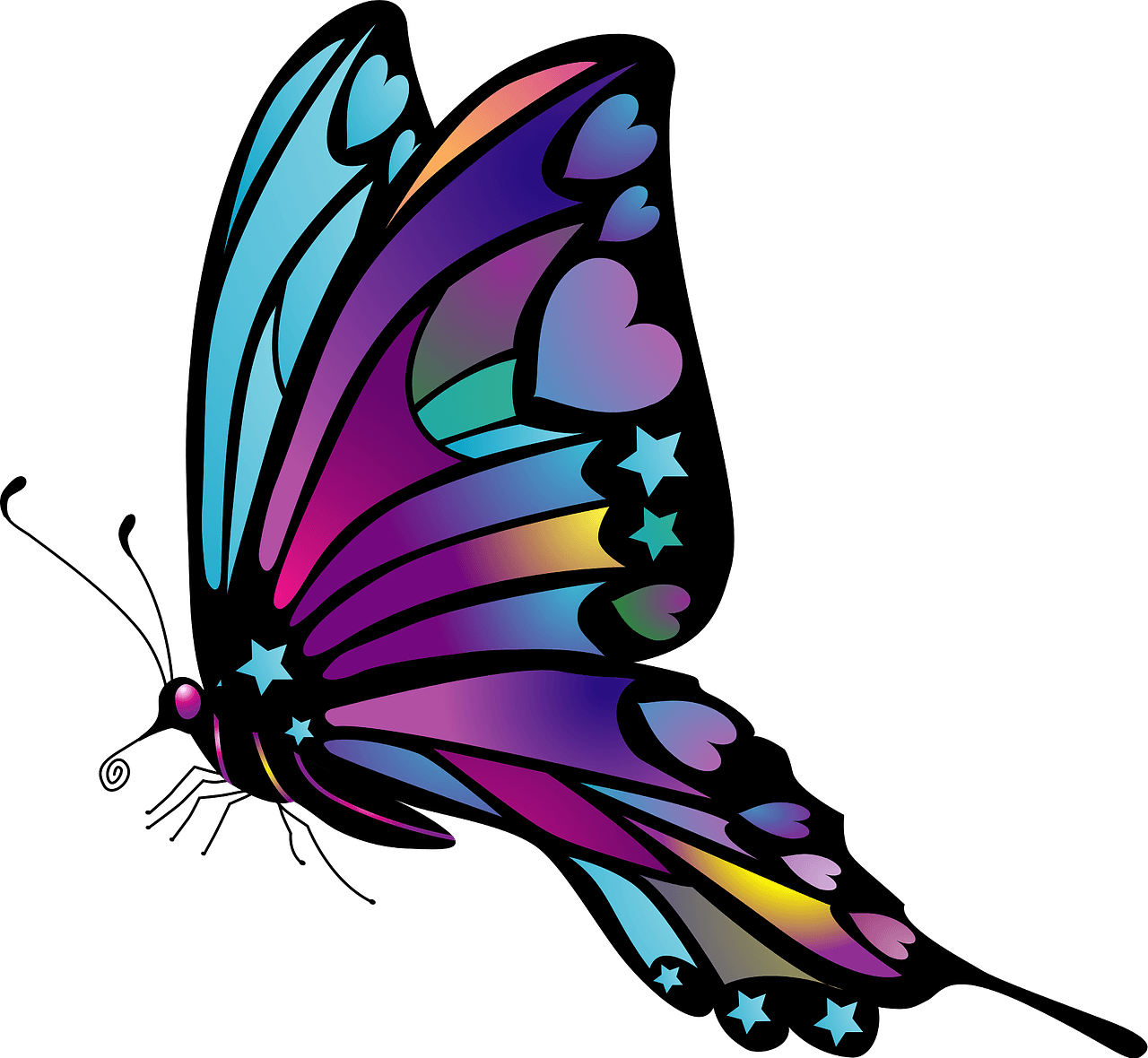 fuschia butterfly cliparts