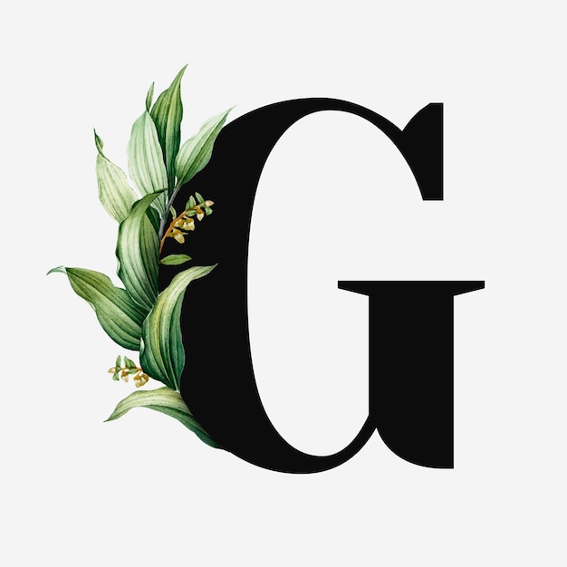 g pictures