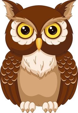 gambar owl cartoon