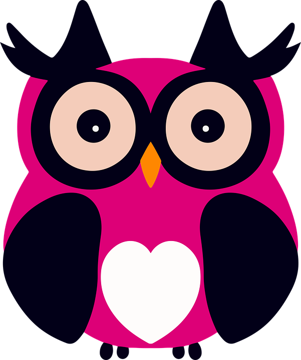Download Owl, Bird, Cartoon Owl. Royalty-Free Vector Graphic - Pixabay