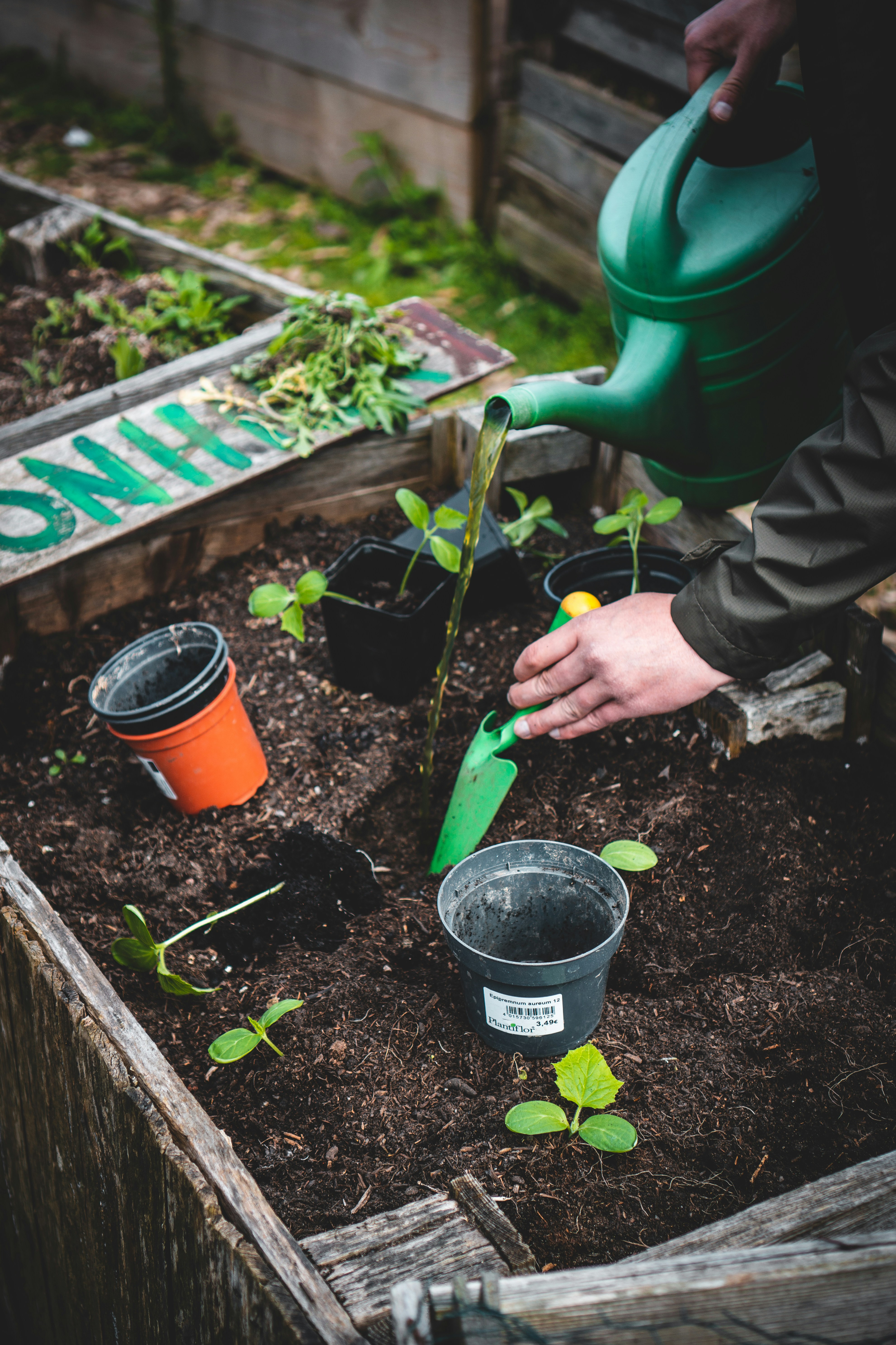 100+ Gardening Pictures | Download Free Images on Unsplash