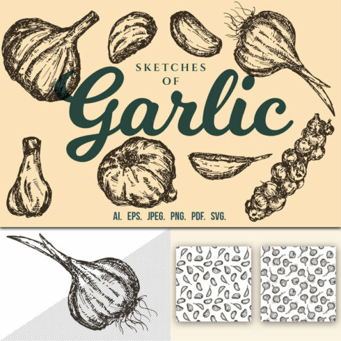 garlic cliparts 2024