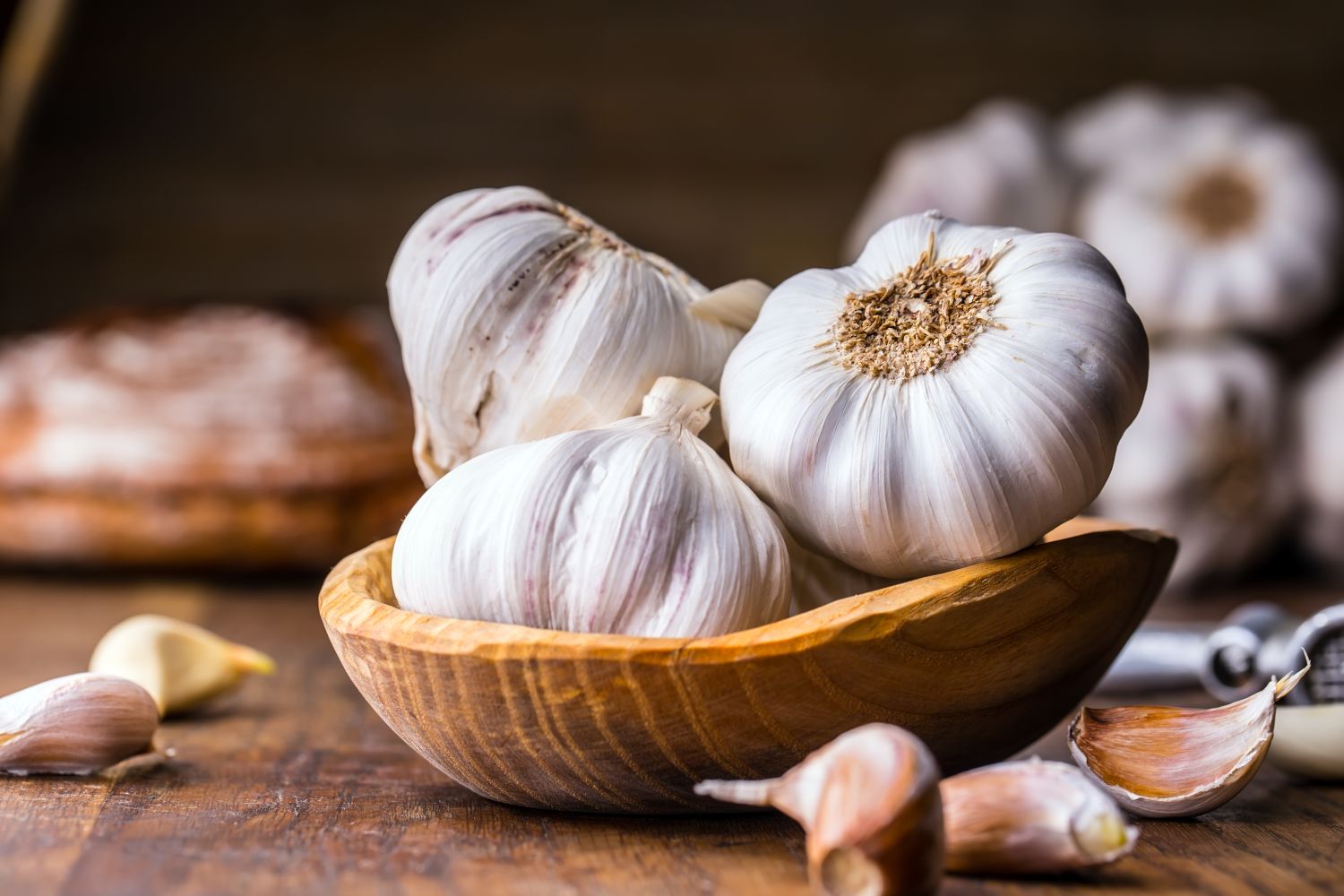 Garlic: flowers, care &amp; benefits - Plantura
