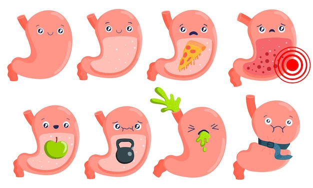 gastrointestinal cliparts