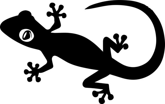gecko silhouette cliparts