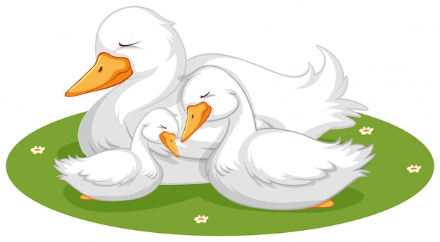 Geese Clipart Vectors &amp; Illustrations for Free Download | clipart library