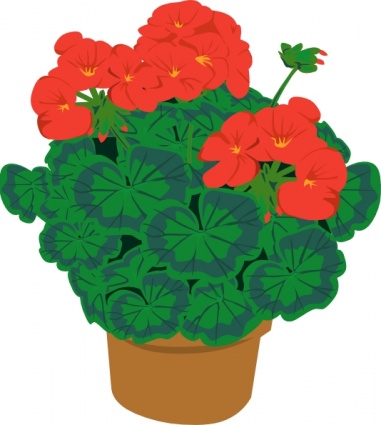 geranium cliparts 2024