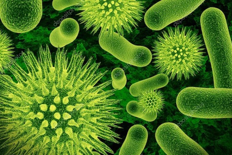 GERMS 101 | UNH Today