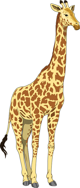 giraffe cliparts
