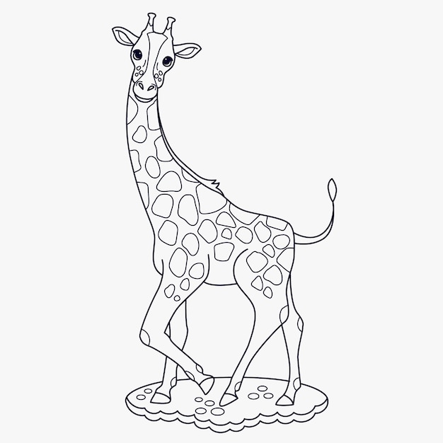 Giraffe Drawing-Vektoren und -Illustrationen zum kostenlosen ...