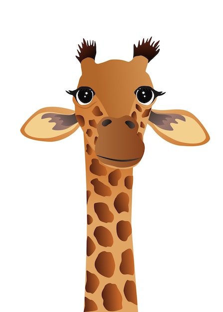 Premium Vector | Giraffe vector illustration graphic design