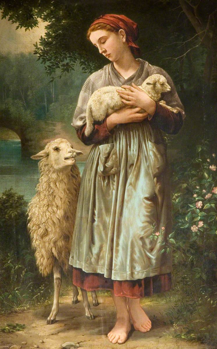 girl lambs