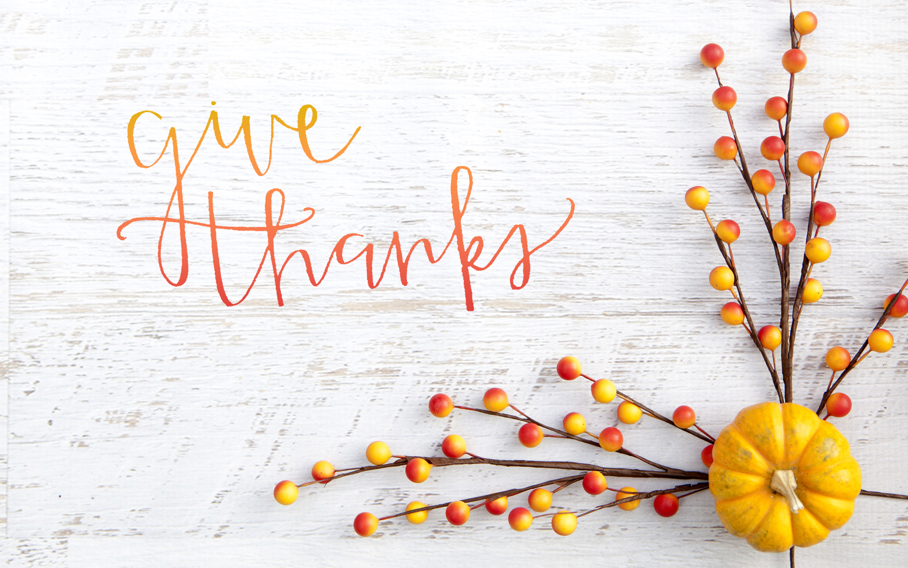 Great + Attitude = #gratitude: Q&amp;A with XOMAD - XOMAD