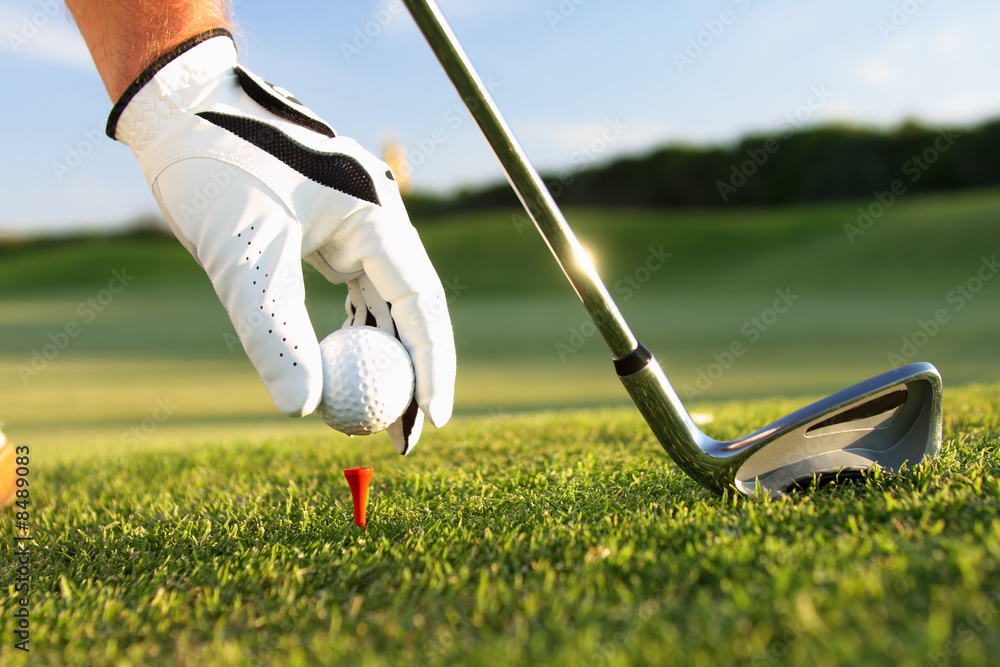 Poster, Wandbilder golf tee, 40x26.7 cm