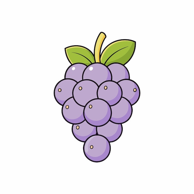 grapes clipart 2024
