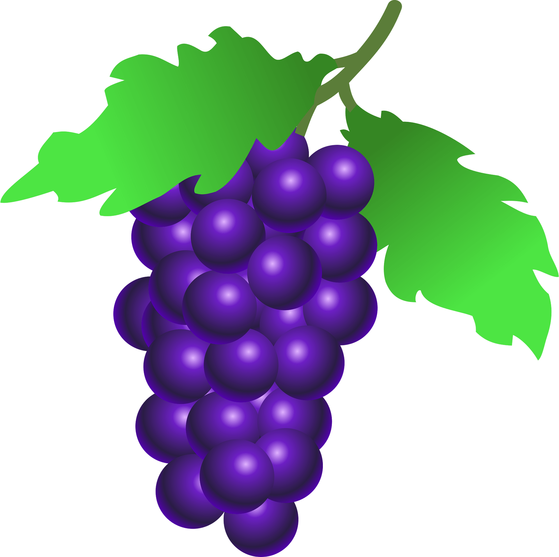 grapes cliparts