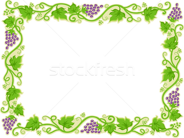 Grapevine border Stock Photos, Stock Images and Vectors | Stockfresh