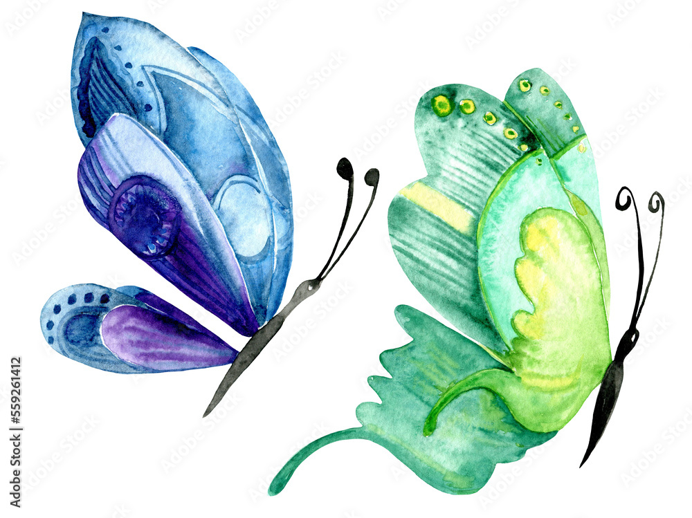 Poster, Wandbilder Butterfly watercolor illustration, isolated objects with  transparent background, 600 dpi PNG , graphic resources for logos, ...
