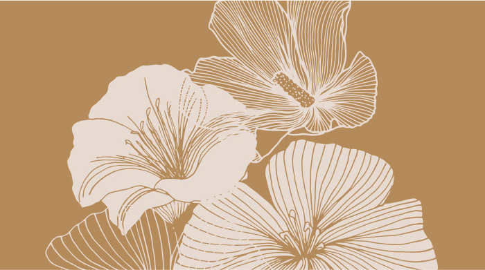 18 Beautiful Examples of Floral Illustrations in Web Design - Qode ...