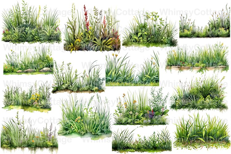 grass border cliparts