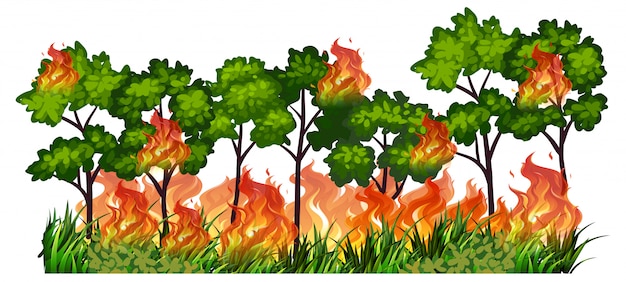 Grass Fire Vectors &amp; Illustrations for Free Download | clipart library