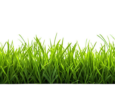 grasses cliparts