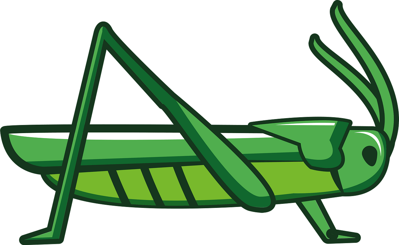 grasshoppers cliparts