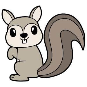 gray squirrel cliparts 2024