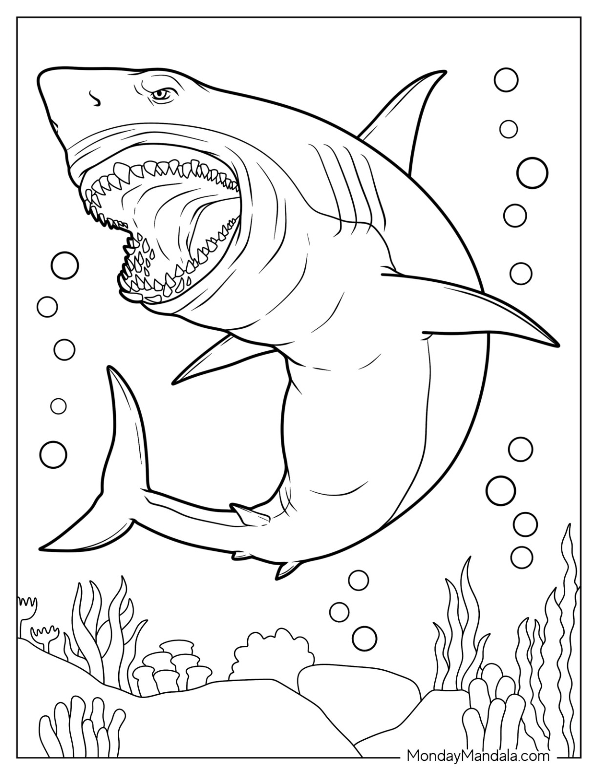 great white shark pictures to print free