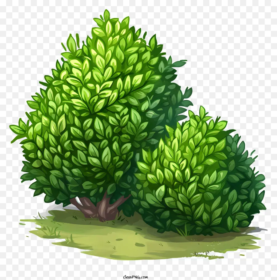 green bush cliparts 2024